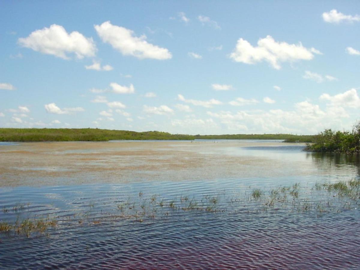 Buttonwood Reserve 1B James Cistern Екстер'єр фото